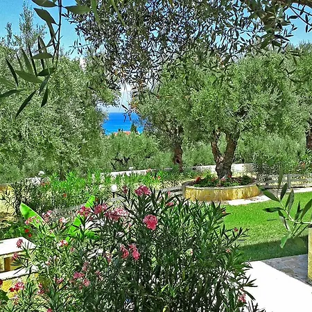 Pouliezos Koklanis Zante * Alykes (Zakynthos)