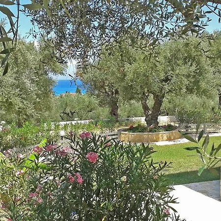 Pouliezos Koklanis Zante